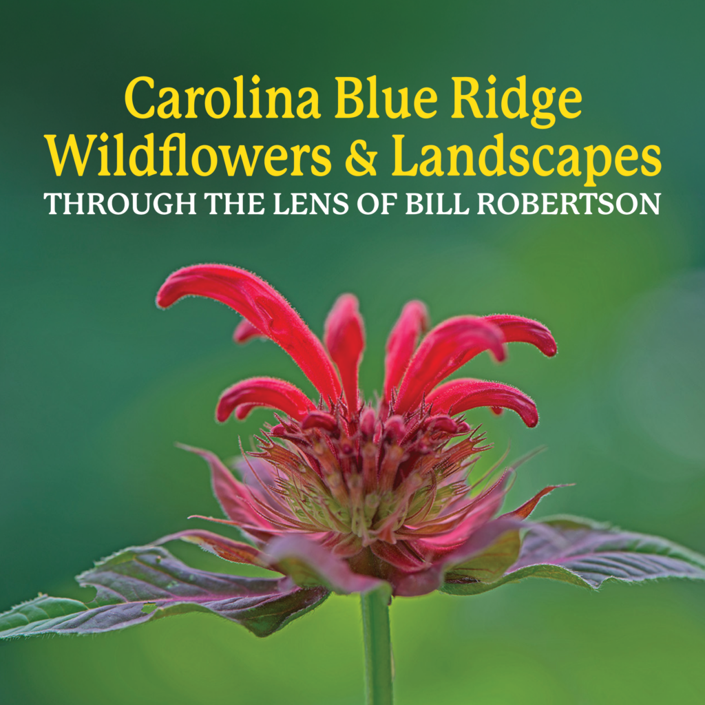 Carolina Blue Ridge Wildflowers and Landscapes – Through the Lens of Bill Robertson